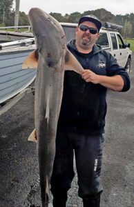 Clinton Jackson with the 29.89 kg gummy shark that he caught in 40 metres of water off Barwon Heads on Sunday morning.