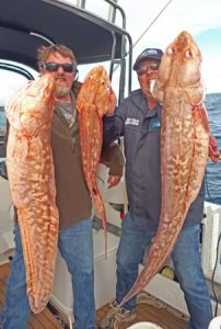 Lachie Wombell and Michael Goldby with a sample of their catch of pink ling from the wide grounds off Portland (Picture: Bob McPherson).