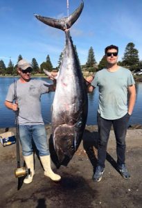 Tom Robley and Adrian Seccombe with the 127.5 kg tuna they caught offshore from Portland.   