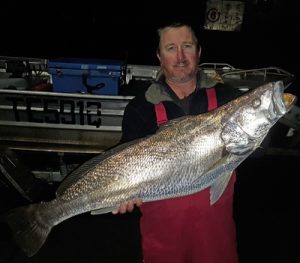 Jamie Behrens with yet another mulloway from the Maroochy River.